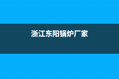 东洋锅炉厂家统一售后服务热线(浙江东阳锅炉厂家)