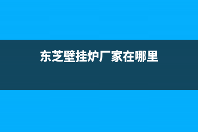 东芝壁挂炉厂家维修服务号码(东芝壁挂炉厂家在哪里)