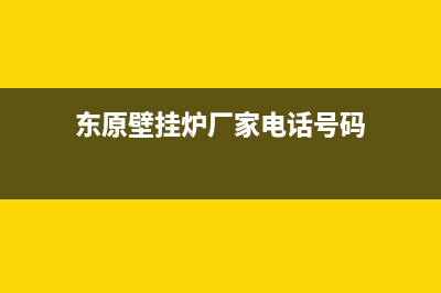 东原壁挂炉厂家统一维修服务中心(东原壁挂炉厂家电话号码)