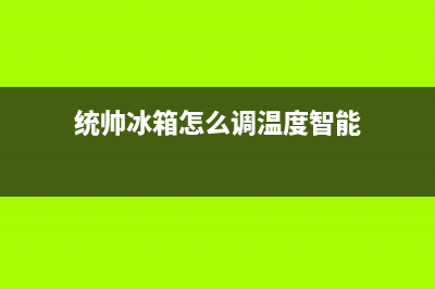 统帅冰箱24小时服务(统帅冰箱怎么调温度智能)