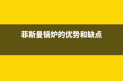 菲斯曼锅炉厂家特约网点400(菲斯曼锅炉的优势和缺点)