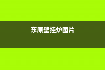 东原DONGYUAN壁挂炉上门安装(东原壁挂炉图片)