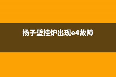 扬子壁挂炉出现e4故障代码(扬子壁挂炉出现e4故障)