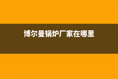 博尔曼锅炉厂家统一400售后维修(博尔曼锅炉厂家在哪里)