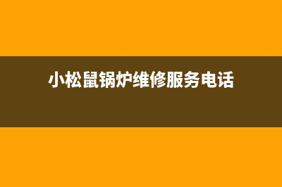 小松鼠锅炉厂家统一400维修中心电话(小松鼠锅炉维修服务电话)