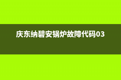 庆东纳碧安锅炉官方网站已更新[服务热线](庆东纳碧安锅炉故障代码03)