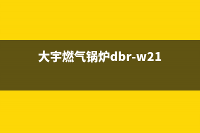 大宇锅炉一官方网站已更新[服务热线](大宇燃气锅炉dbr-w21)