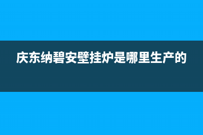 庆东纳碧安壁挂锅炉厂家（厂家400）(庆东纳碧安壁挂炉是哪里生产的)