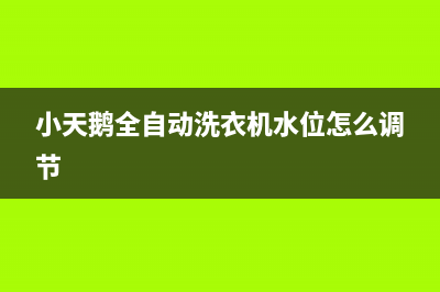 小天鹅全自动洗衣机e8故障代码(小天鹅全自动洗衣机水位怎么调节)