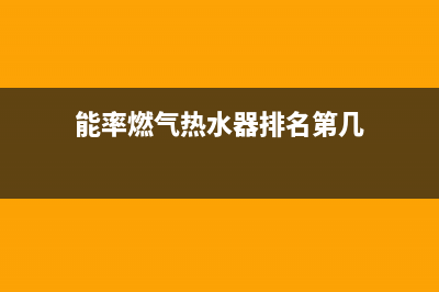 能率燃气热水器故障代码e12(能率燃气热水器排名第几)