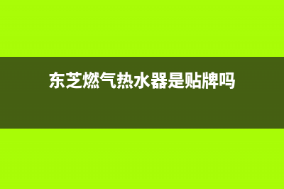 东芝燃气热水器e4故障代码(东芝燃气热水器是贴牌吗)