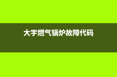 大宇燃气锅炉故障er(大宇燃气锅炉故障代码)