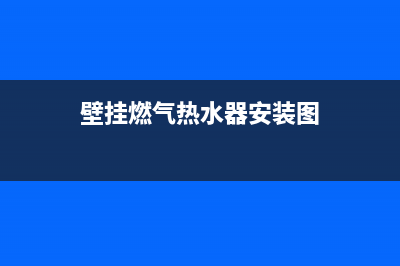 壁挂燃气热水器e1代码(壁挂燃气热水器安装图)