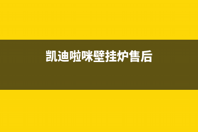 凯迪啦咪壁挂炉故障E4(凯迪啦咪壁挂炉售后)
