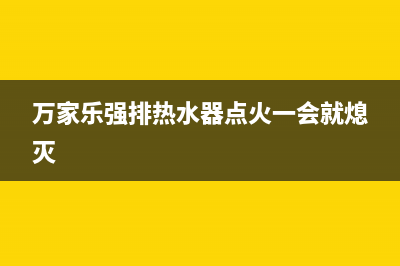 万家乐强排热水器e5故障(万家乐强排热水器点火一会就熄灭)