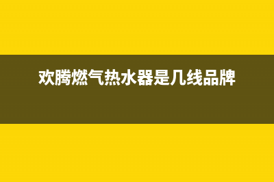 欢腾燃气热水器故障代码E8(欢腾燃气热水器是几线品牌)