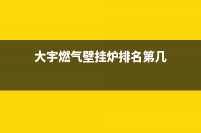 大宇燃气壁挂炉代码e1(大宇燃气壁挂炉排名第几)