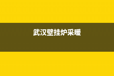 武汉燃气壁挂炉售后(武汉燃气壁挂炉维修)(武汉壁挂炉采暖)