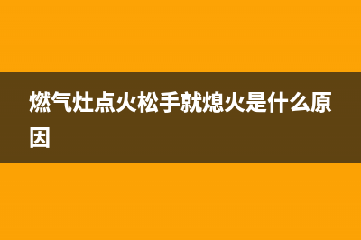 燃气灶点火松手就熄灭故障维修(燃气灶点火手维修)(燃气灶点火松手就熄火是什么原因)