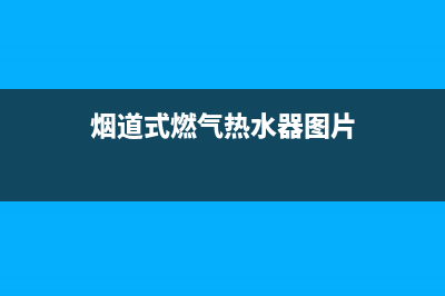 烟道式燃气热水器特点(烟道式燃气热水器图片)