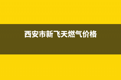 西安市新飞天燃气灶售后(西安市未央区燃气灶维修)(西安市新飞天燃气价格)