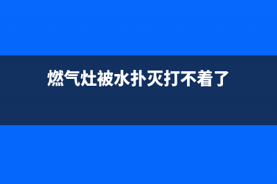 志高燃气灶被水浇灭打不着的维修方法_家电维修服务平台(燃气灶被水扑灭打不着了)