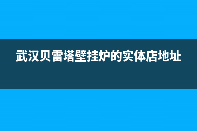 武汉贝雷塔壁挂炉维修服务(武汉贝雷塔壁挂炉维修服务电话)(武汉贝雷塔壁挂炉的实体店地址)