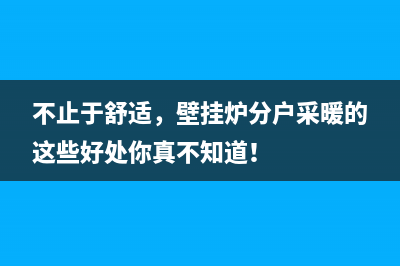 不止于舒适,壁挂炉分户采暖的这些好处你真不知道!