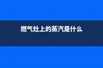 燃气灶上的蒸汽灶怎么清洗(燃气灶上的油渍怎么清洗掉)(燃气灶上的蒸汽是什么)