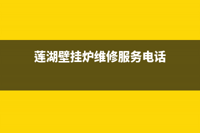 莲湖壁挂炉维修查询(莲湖壁挂炉维修点击)(莲湖壁挂炉维修服务电话)