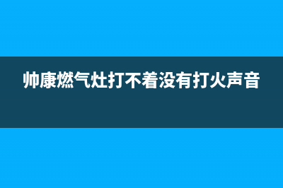 帅康燃气灶打不着火原因(帅康燃气灶打不着没有打火声音)