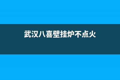 八喜壁挂炉打不着火的原因及点不着火的解决方法(武汉八喜壁挂炉不点火)