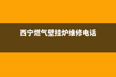 西宁燃气壁挂炉维修多少钱(西宁燃气壁挂炉维修服务)(西宁燃气壁挂炉维修电话)