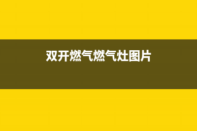 双开燃气燃气灶维修(双开燃气燃气灶图片)