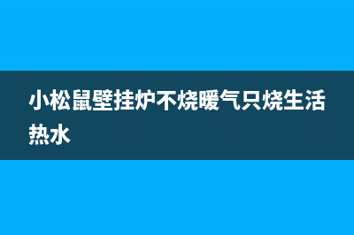 小松鼠壁挂炉不点火原因(小松鼠壁挂炉不烧暖气只烧生活热水)