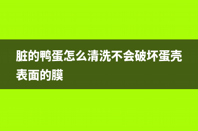 脏鸭蛋怎样清洗放在冰箱里(醩鸡胗怎么清洗冰箱)(脏的鸭蛋怎么清洗不会破坏蛋壳表面的膜)