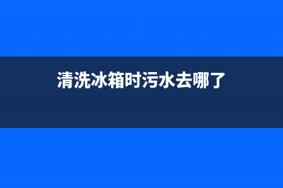 管道清洗冰箱收纳(管道清洗冰箱贴)(清洗冰箱时污水去哪了)