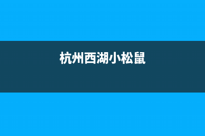 西湖区小松鼠壁挂炉售后服务电话(西湖区依玛壁挂炉不点火维修电话)(杭州西湖小松鼠)