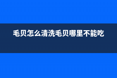 毛贝清洗好放冰箱里要加水吗(毛陈镇索伊冰箱售后电话号码)(毛贝怎么清洗毛贝哪里不能吃)