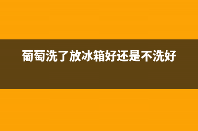 葡萄清洗后放冰箱(葡萄清洗后放冰箱保存)(葡萄洗了放冰箱好还是不洗好)