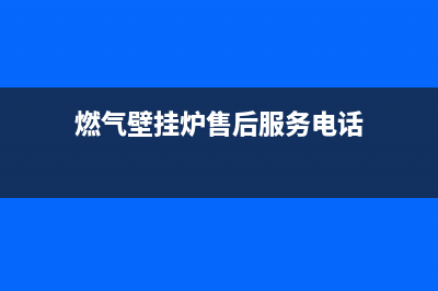 燃气壁挂炉售后监管局(燃气壁挂炉售后可以干吗)(燃气壁挂炉售后服务电话)