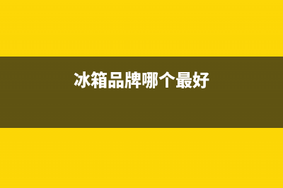 冰箱品牌什么好(风冷冰箱好不好)(冰箱品牌哪个最好)