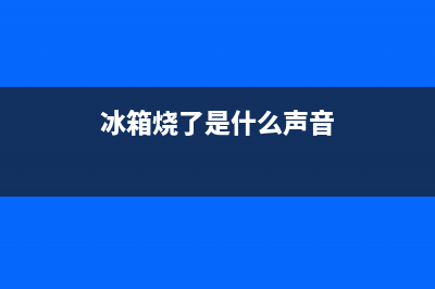 冰箱烧了是什么原因(冰箱烧了是什么声音)