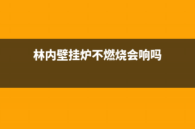 林内壁挂炉不燃烧故障原因分析【维修方法详述】(林内壁挂炉不燃烧会响吗)