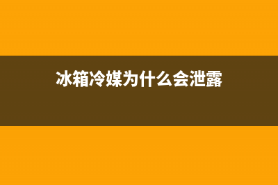 冰箱里冷媒是什么？冰箱使用什么制冷剂(冰箱冷媒为什么会泄露)