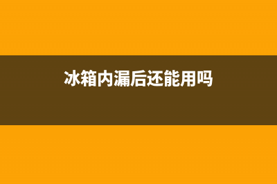 冰箱内漏会出现什么情况？怎么来检修？(冰箱内漏后还能用吗)