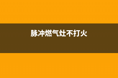 脉冲燃气灶不打火原因，最先要看的是这个地方(脉冲燃气灶不打火)