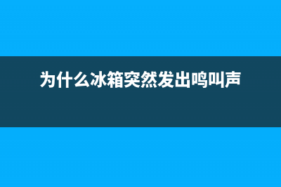 为什么冰箱突然不结冰，从这几个方面来判断(为什么冰箱突然发出鸣叫声)