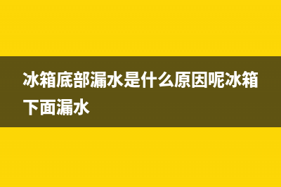 冰箱底部漏水是怎么回事？原因全在这篇文章里(冰箱底部漏水是什么原因呢冰箱下面漏水)