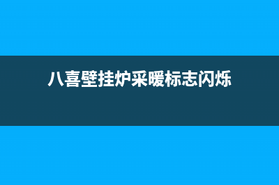 八喜壁挂炉采暖热水两用锅炉ECO5 24kw(八喜壁挂炉采暖标志闪烁)